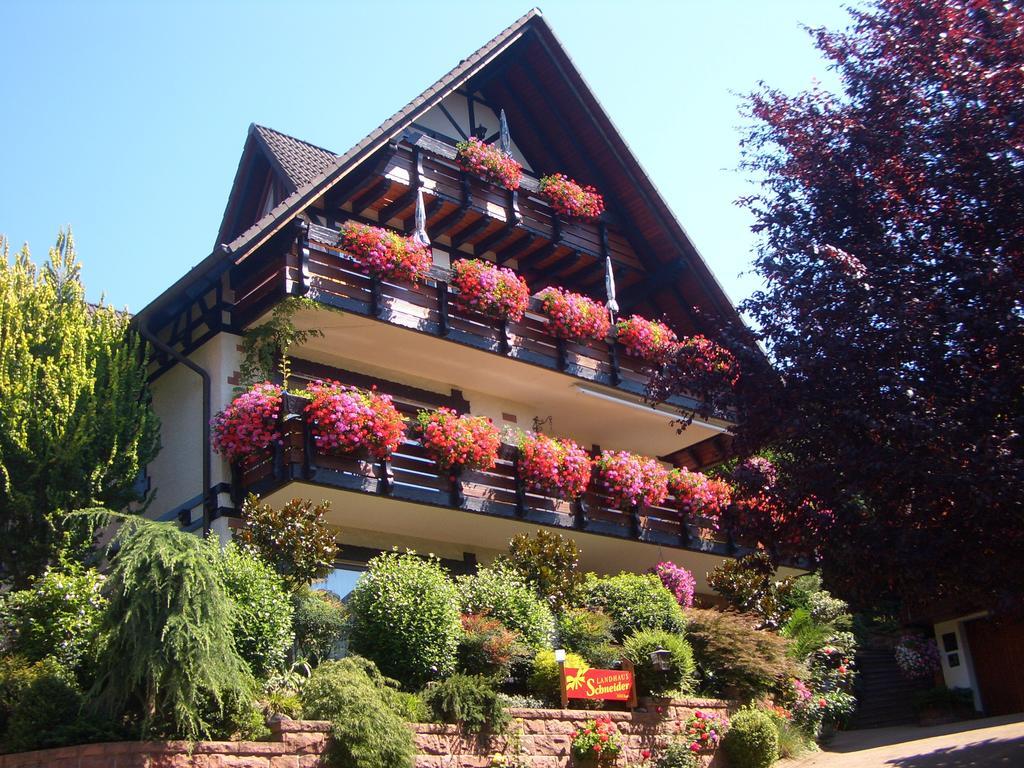 Landhaus Schneider Sasbachwalden Ngoại thất bức ảnh